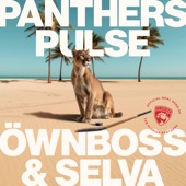 Panthers Pulse artwork