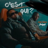 C'est qui ? - Single - Nikaprod