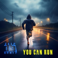 You Can Run (Radio Edit) - Single - Flip Da Scrip