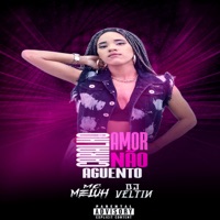 Caralho Amor Não Aguento - Single - DJ VELTIN & Mc meluh