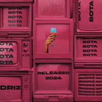 MEGA FUNK BOTA BOTA - Single - DJ Rodriz