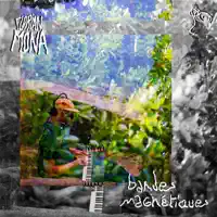 Bandes magnétiques — Florian Mona
