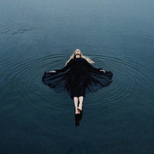 Something In The Water (feat. Brooke Williams) - Single