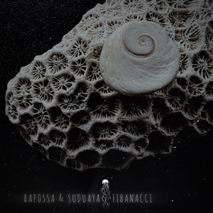 Fibonacci - Single