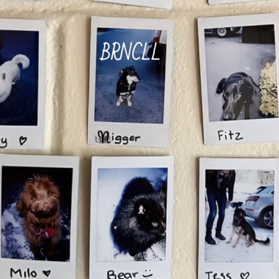 Fortifying these Balls - EP