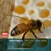 Boston Modern Orchestra Project, Gil Rose & Shuying Li - Miss Ying-Ning: VIII. Childbirth and Happily Ever After