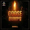 Goose Bumps