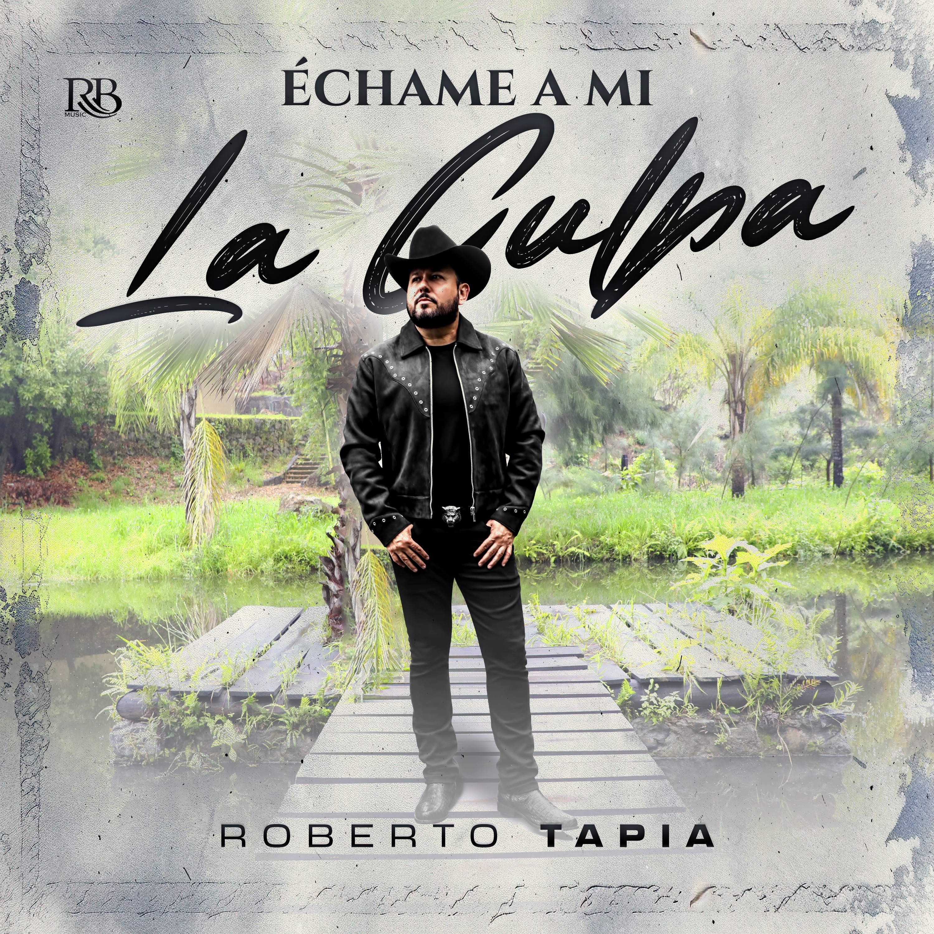 Échame A Mi La Culpa - Single