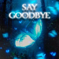 Say Goodbye Remixes - EP - AARTYY