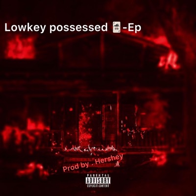 Lowkey Possessed - EP