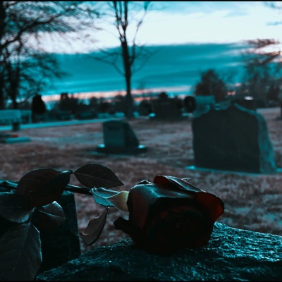 Dirt n' Roses (feat. Sin 1 & Of Sound Mynd) - Single