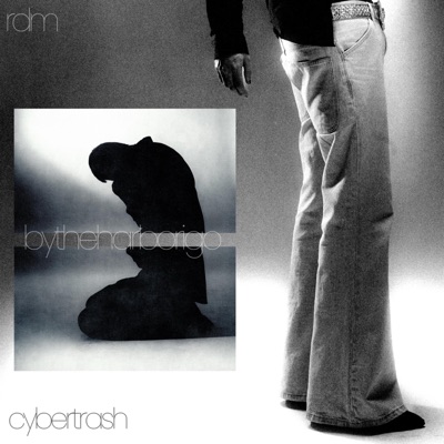 bytheharborigo (feat. Cybertrash) - Single