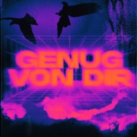 Genug Von Dir - Single - Deso Latee, Laureta, Darius & Finlay & Lea Schauzu