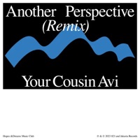 another perspective (feat. Your Cousin Avi) [Your Cousin Avi Remix] - Single - Idealism