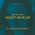 Won't Give up