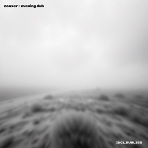 Evening Dub - Single