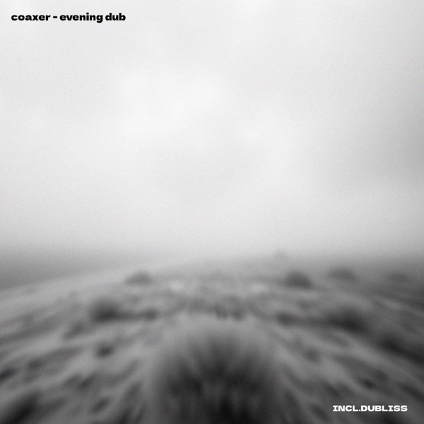 Evening Dub - Single
