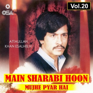 Main Sharabi Hoon Mujhe Pyar Hai, Vol. 20