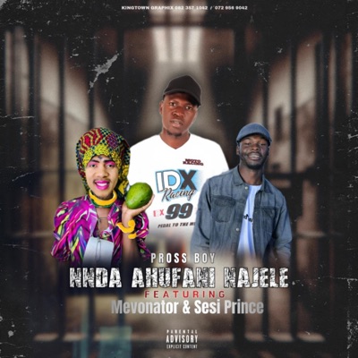 Pross Boy _ Nnda Ahufani NaJele (feat. Mevonator & Sesi Prince) - Single