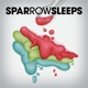 Sparrow Sleeps Presents Lullaby covers of Boys Like Girls songs feat BOYS LIKE GIRLS
