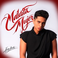 Maldita Mujer - Single - Irving Huertas