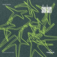 Slow Burn - Single - Blank Sense