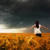 Sweet Melody Of Birds Chirping