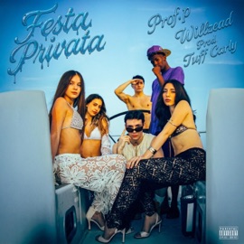 FESTA PRIVATA (feat. willzead) Prof. P