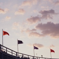 but where are those (feat. Ben Beal) - Single - looking at birds & SwuM