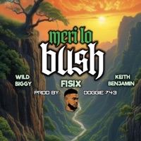 Meri lo bush (feat. Wild-Biggy & Keith Benjamin) - Single - Fisix