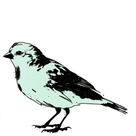Canary Snacktoast