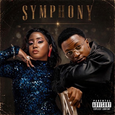 SYMPHONY (feat. Nasha travis) - Single