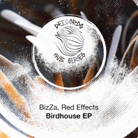 Pay Attention Red Effects & Bizza
