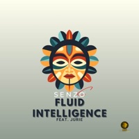 Fluid Intelligence (feat. Jurie) - Single - Senzo C