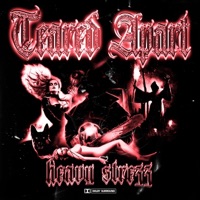 Teared Apart - Single - Heavy Strezz