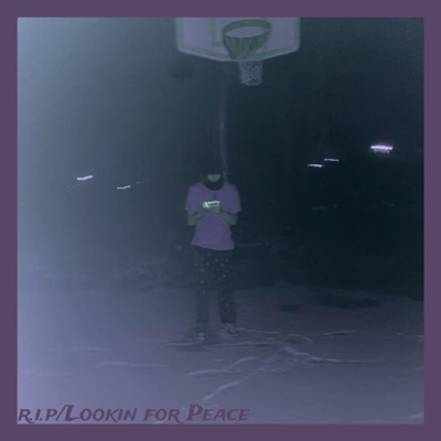 R.I.P / Lookin For Peace - Single