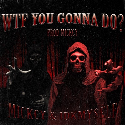 WTF YOU GONNA DO? (feat. IDKMY$eLF) - Single