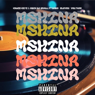 Mshina (feat. Bobo 7Eleven, Obza dah musiq & Voltage183) - Single