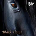 Black Horse