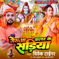 Gerua Colour Ke Sadiya - Single - Vivek Tiger