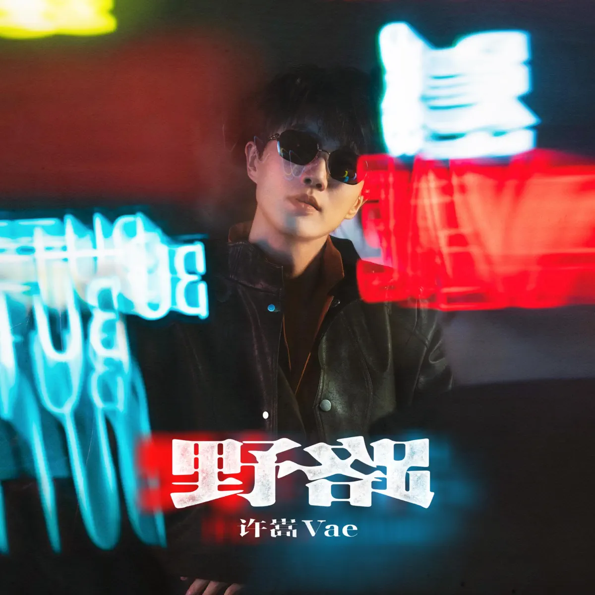 许嵩 - 野路 - Single (2025) [iTunes Plus AAC M4A]-新房子