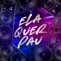 Ela Quer Pau - Single - MC P1 & DJ LéoSheik