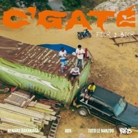 C'Gaté (feat. Renard Barakissa, Toto le Banzou & Arii) - Single - Fior 2 Bior