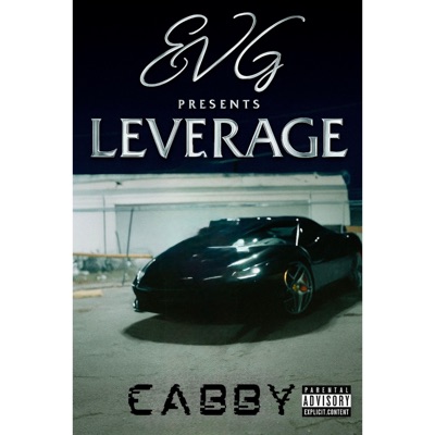 Leverage - Single