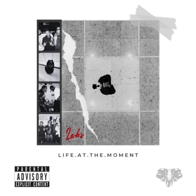 Life At the Moment - Single
