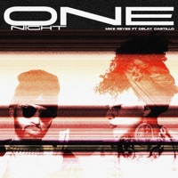 ONE NIGHT (feat. Delay Castillo) - Single - Mike Reyes