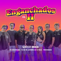 Enganchado, Vol. Ii: Mi Enfermedad / Yo No Me Sentaria en Tu Mesa / Parrandero - Single - Sentite Banda