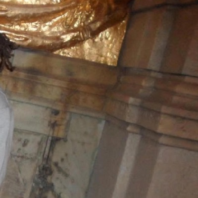 Switch and swap ynx - Single