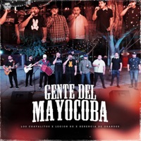 Gente Del Mayocoba (En Vivo) - Single - Los Chavalitos, Legión RG & Herencia De Grandes