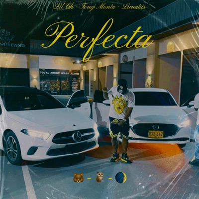 Perfecta (feat. Tony Monta & Lunattis) - Single